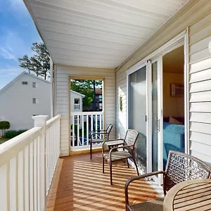 Pine Needle 109b2 Ocean City
